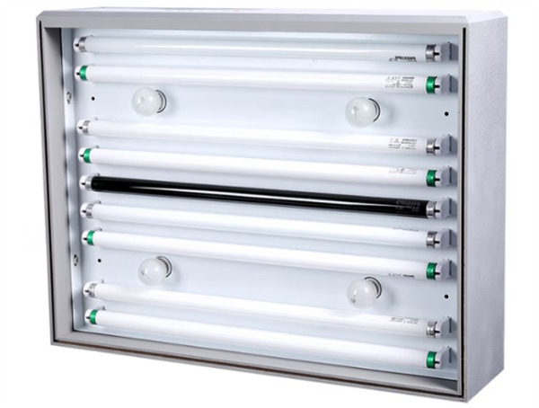 柠檬APP在线观看视频